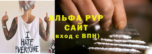 прущий лед Бородино