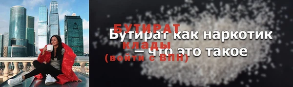 прущий лед Бородино