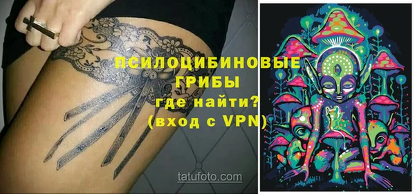 прущий лед Бородино