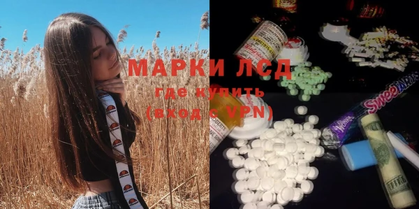 прущий лед Бородино