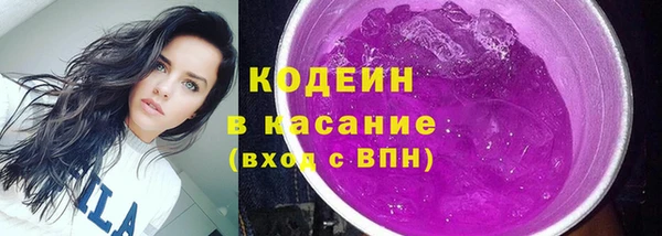 прущий лед Бородино