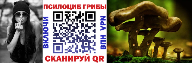 ОМГ ОМГ маркетплейс  Когалым  Псилоцибиновые грибы Cubensis 